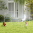 pawhut-kit-d-agilit-pour-chien-4-pi-ces-avec-pulv-risateur-d-eau-et-sac-de-trans image 3