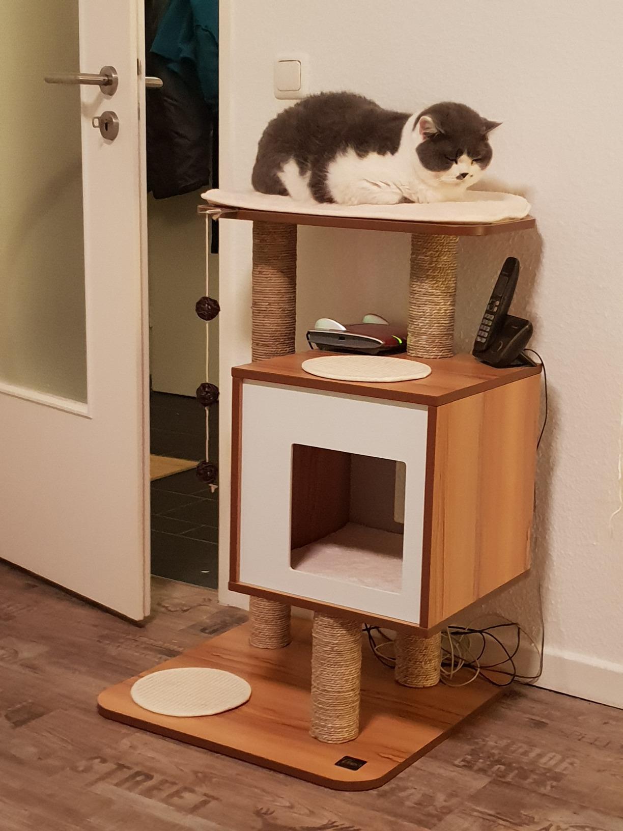 Parfait dans le salon