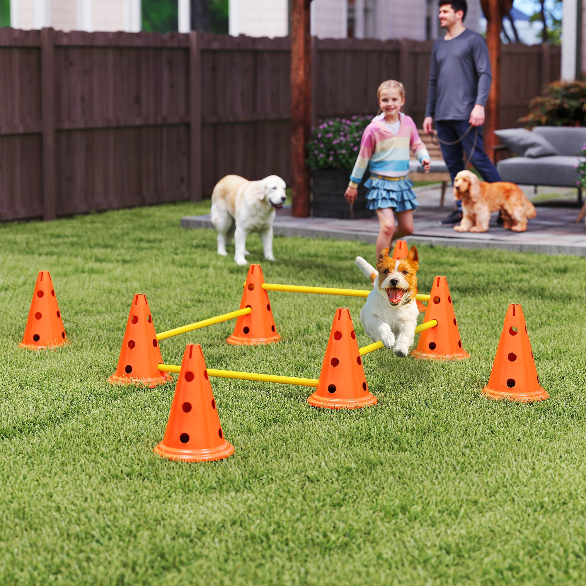 pawhut-set-agility-chien-4-haies-r-glables-avec-sac-orange image 3