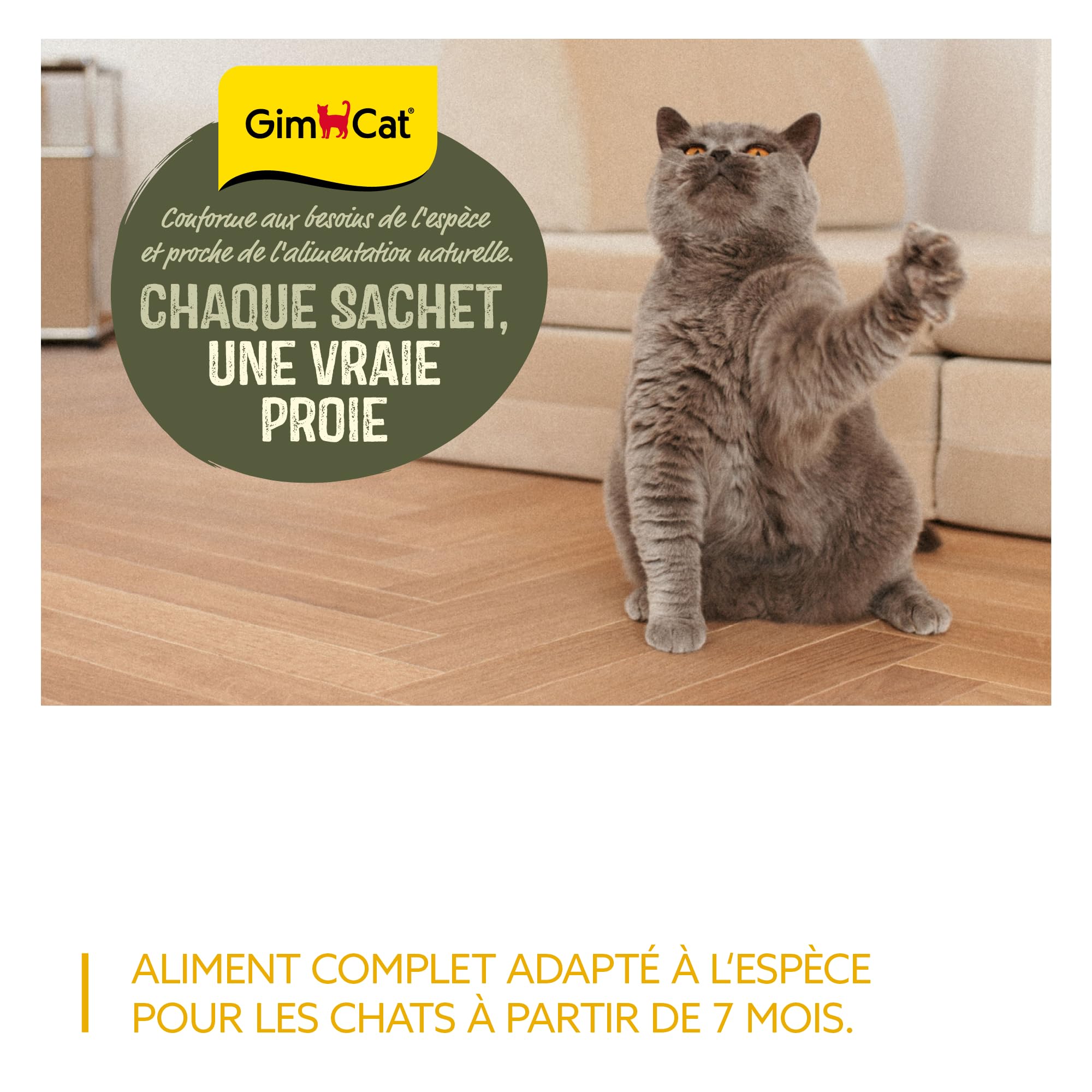 gimcat-near-nature-poulet-p-t-e-sans-c-r-ales-16-x-85g image 6