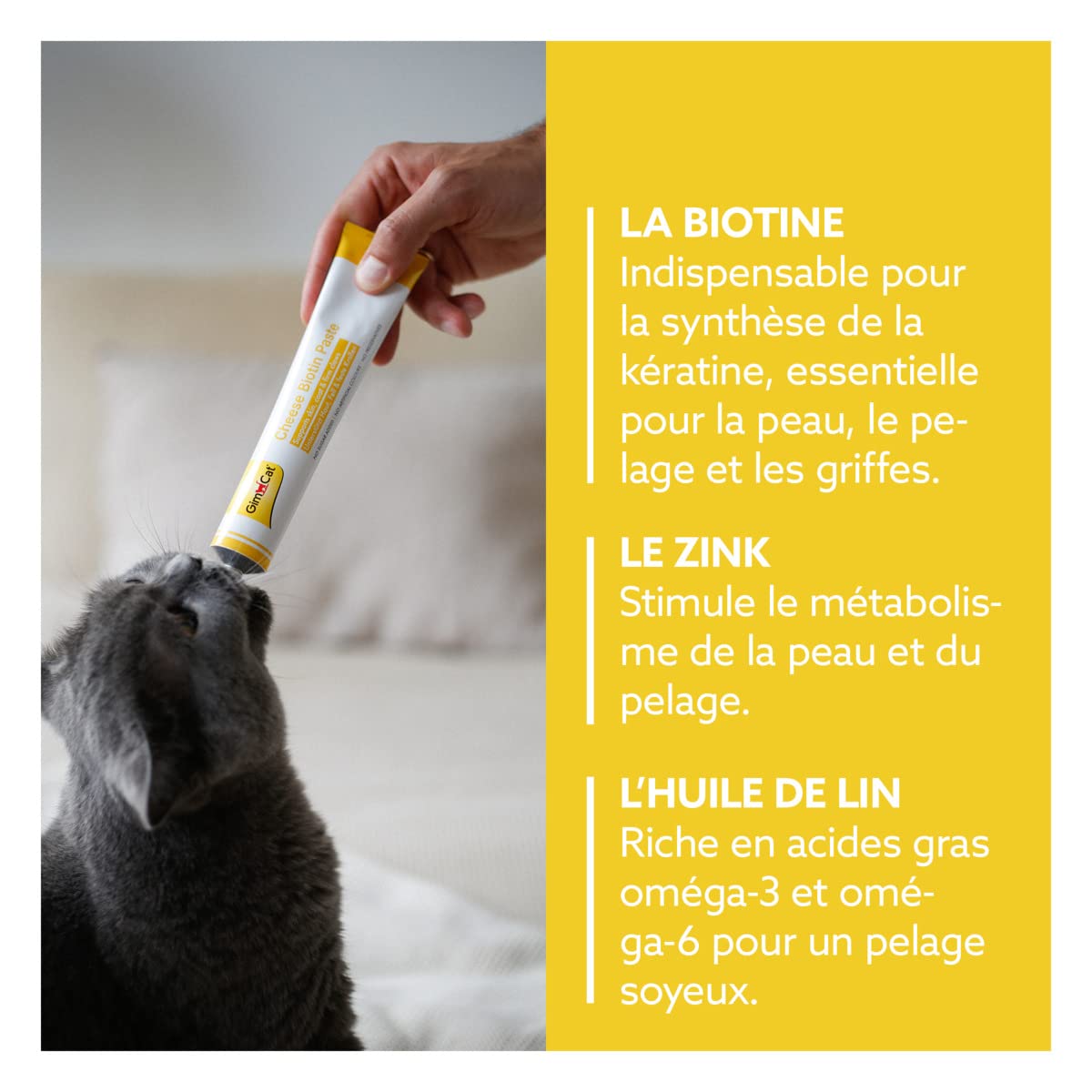 gimcat-p-te-cheese-biotin-p-te-pour-chat-au-fromage-tube-100-g image 3