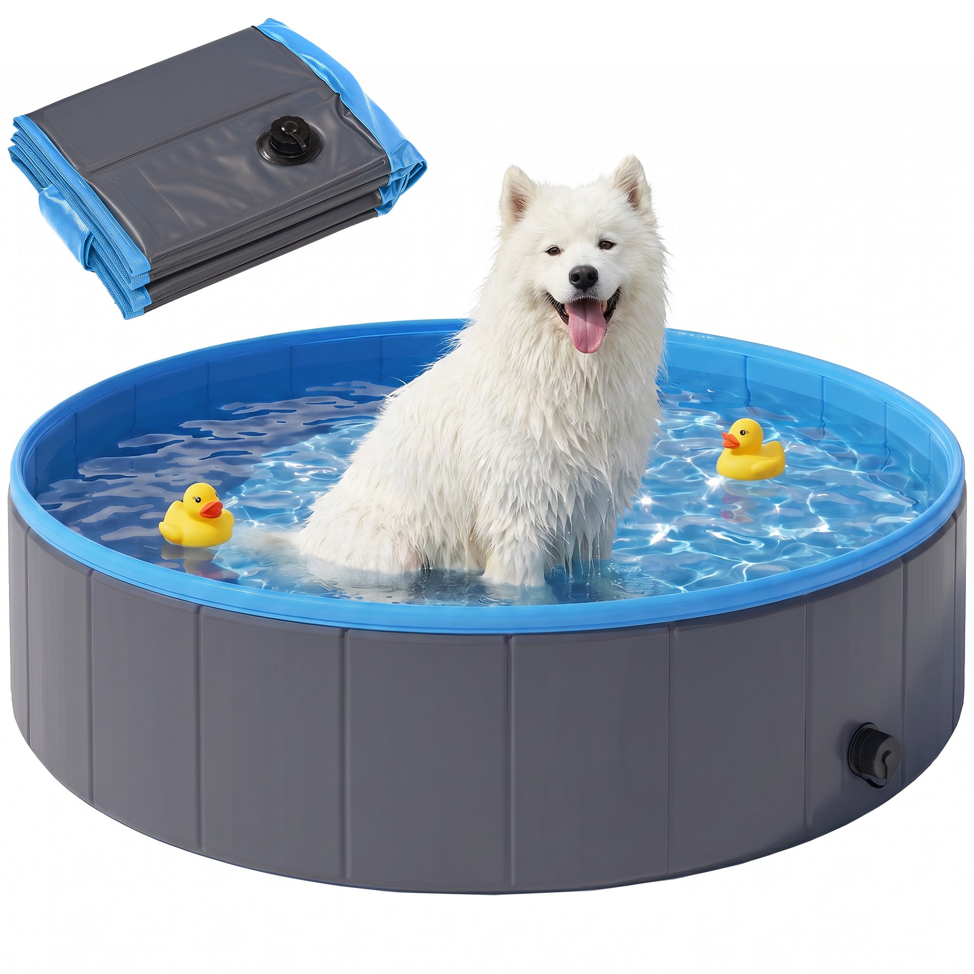 pawhut-piscine-pliable-pour-chien-fond-antid-rapant-120-x-30-cm-avec-adaptateur- image 1
