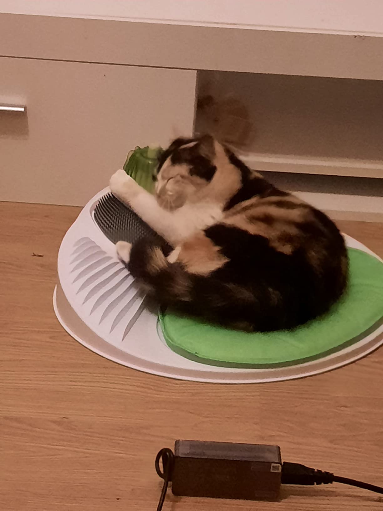 Adoptée direct