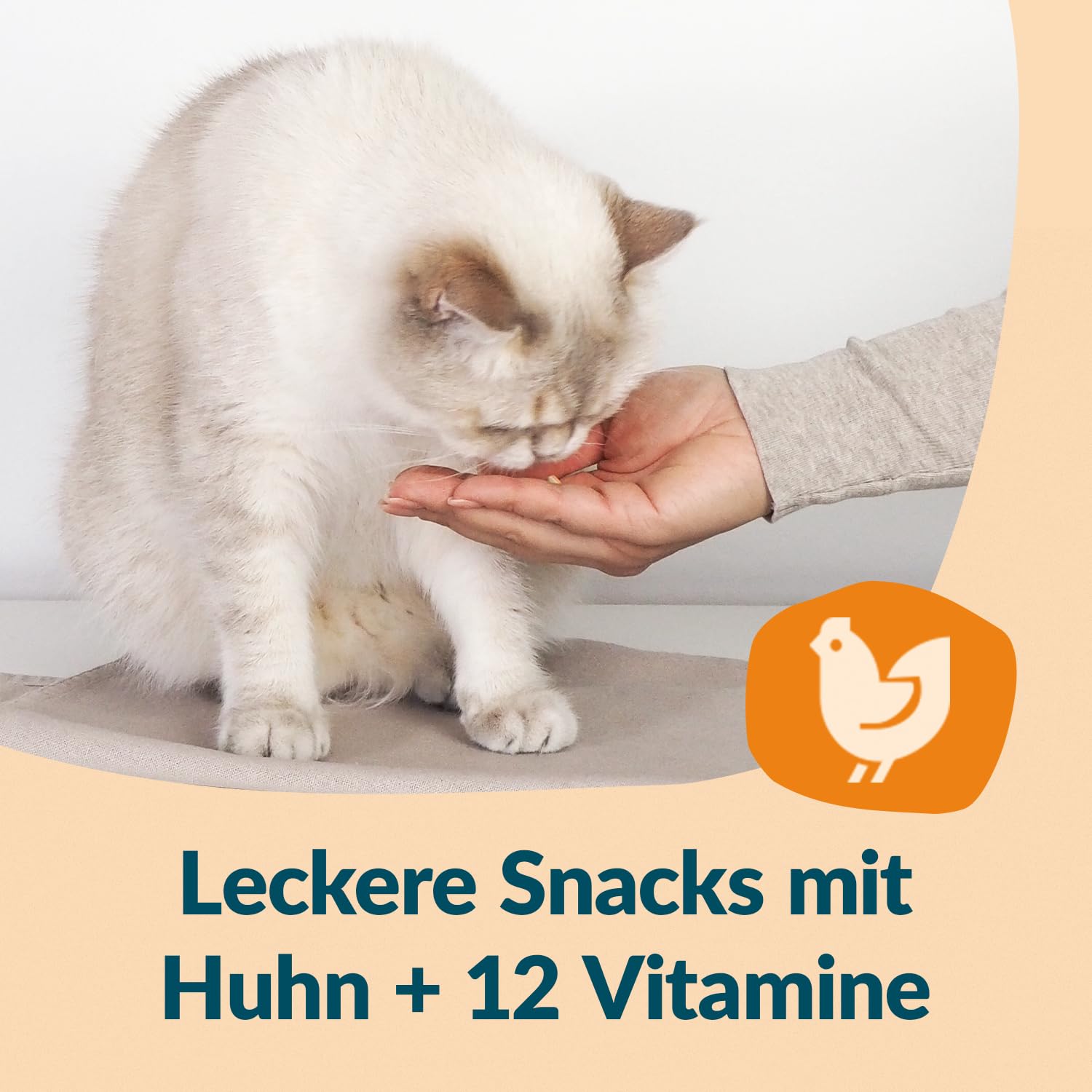 gimcat-nutri-bites-vitamine-au-poulet-friandise-chat-425-g image 4
