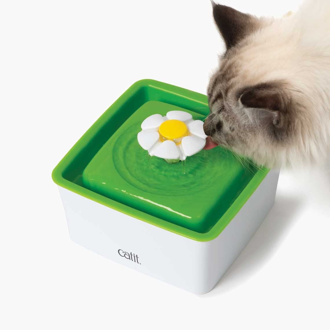 catit-mini-fontaine-fleurs-lot-de-3-filtres-de-rechange-au-charbon-actif image 4
