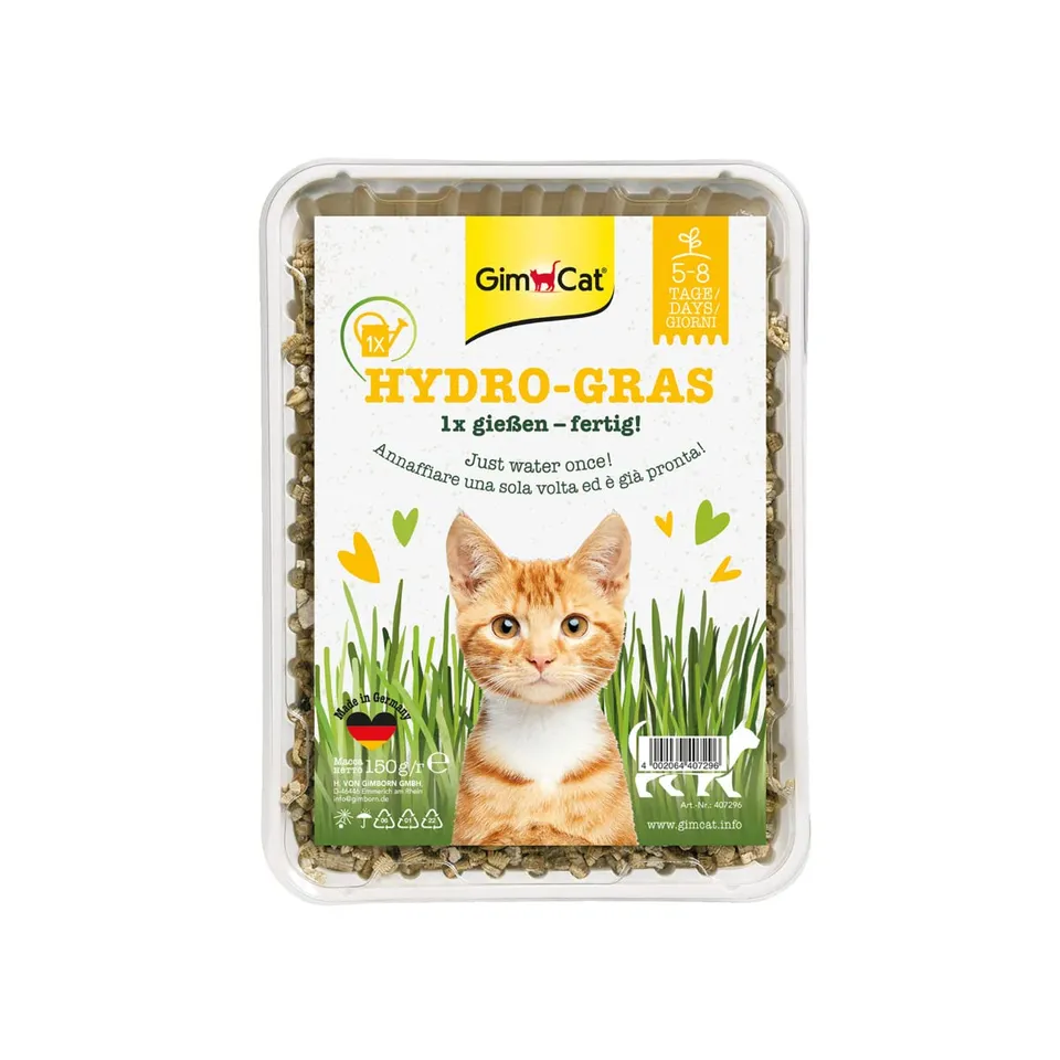 gimcat-hydro-gras-herbe-chat-fra-che-cultiver-150-g image 1