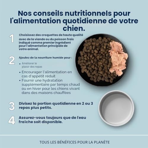 almo-nature-holistic-maintenance-medium-saumon-frais-croquettes-chien-moyen-12-k image 8