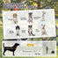 pawhut-remorque-v-lo-et-poussette-2-en-1-pour-chien-jusqu-20-kg-blanche image 6