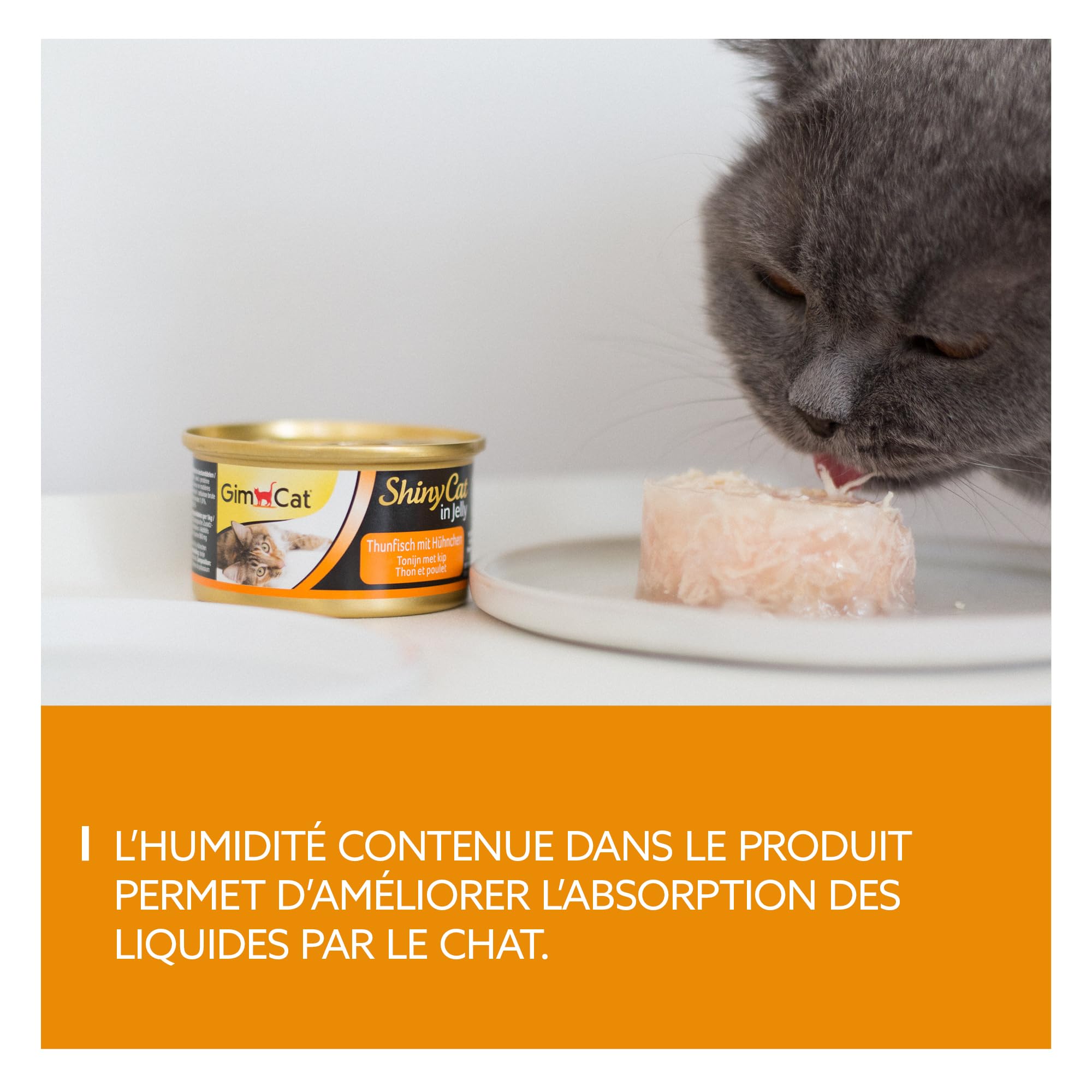 gimcat-shinycat-en-gel-e-thon-et-poulet-lot-de-24-bo-tes-de-70-g image 3