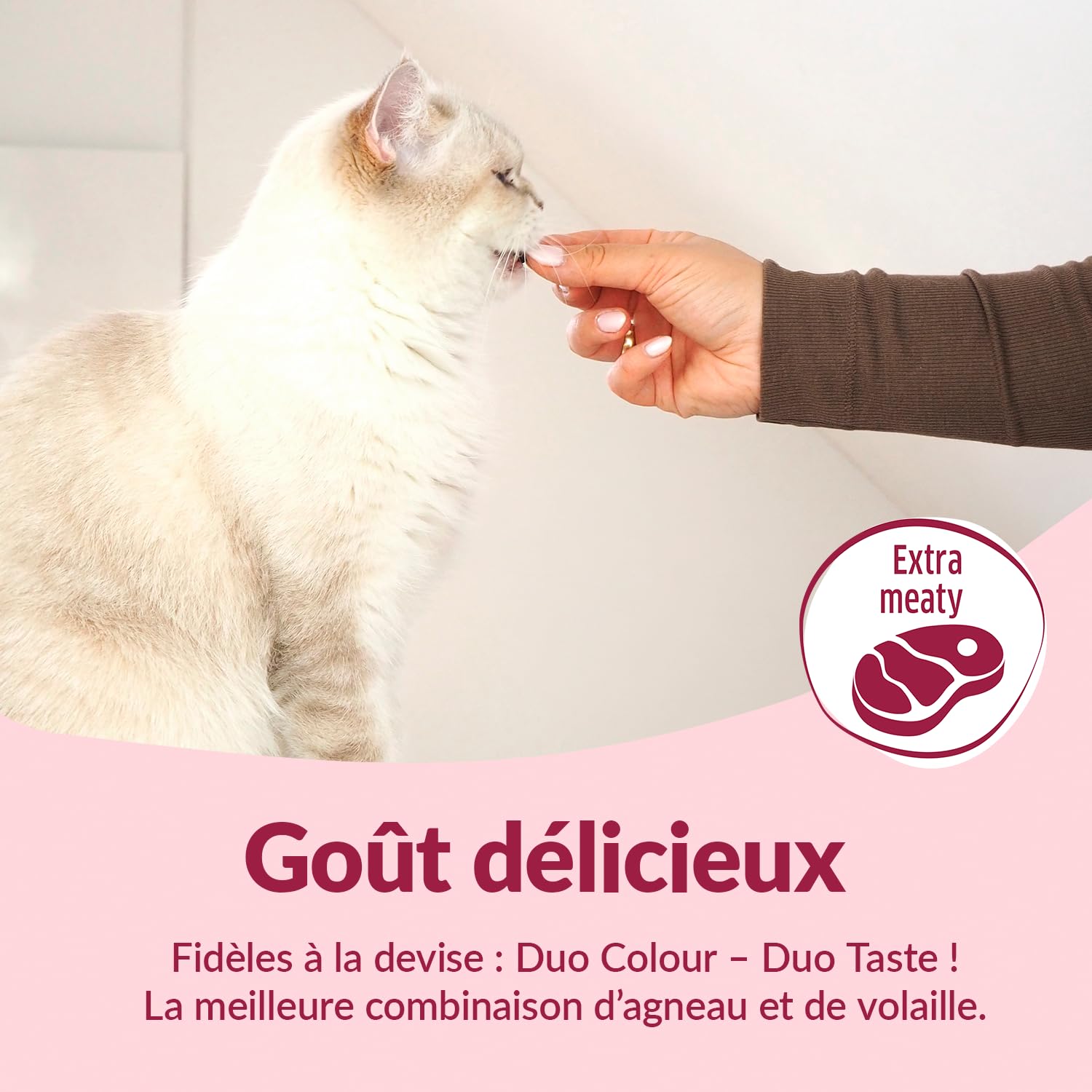 gimcat-duo-soft-snacks-volaille-et-agneau-friandises-pour-chat-50-g image 3
