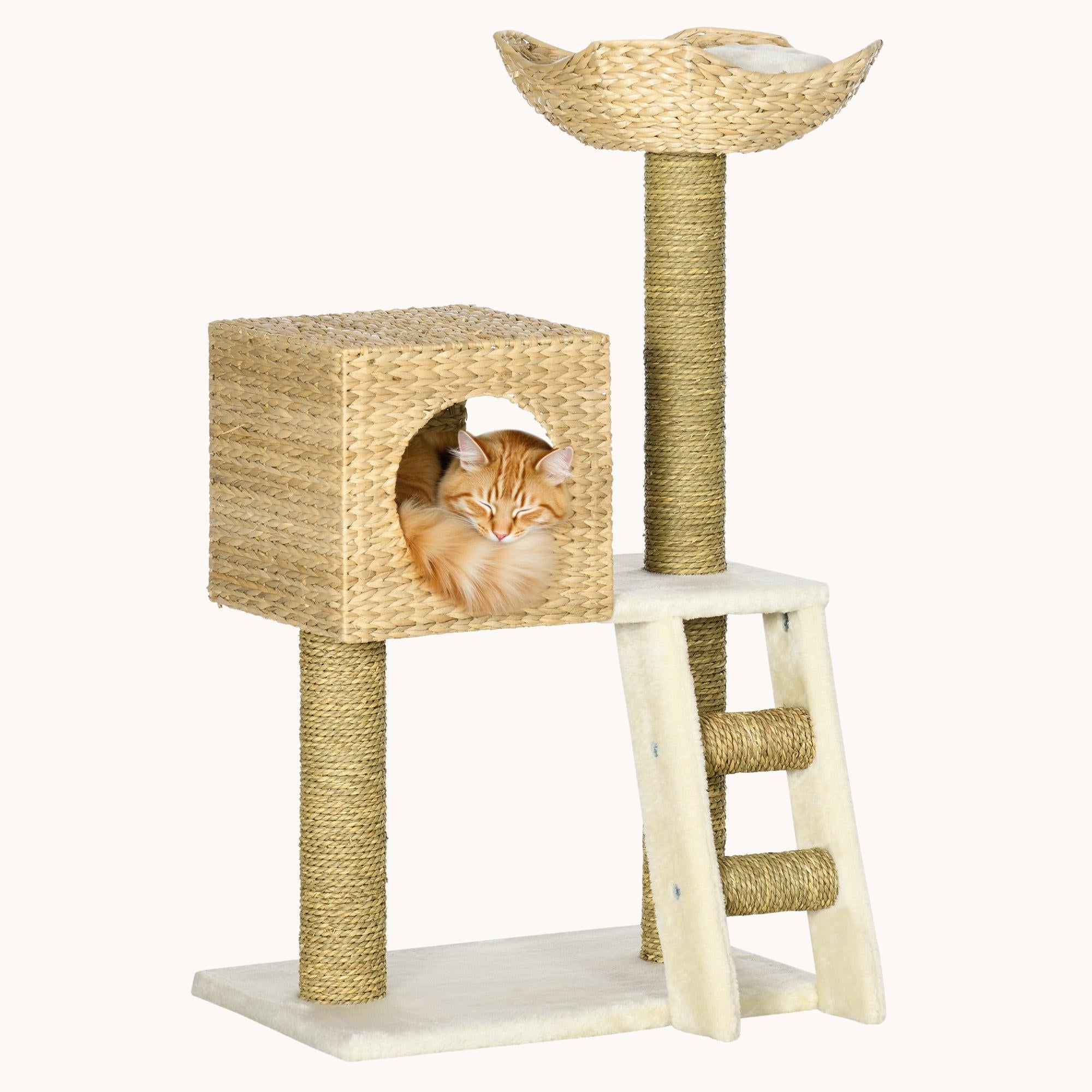 pawhut-arbre-chat-tour-haute-avec-griffoirs-et-chelle image 1