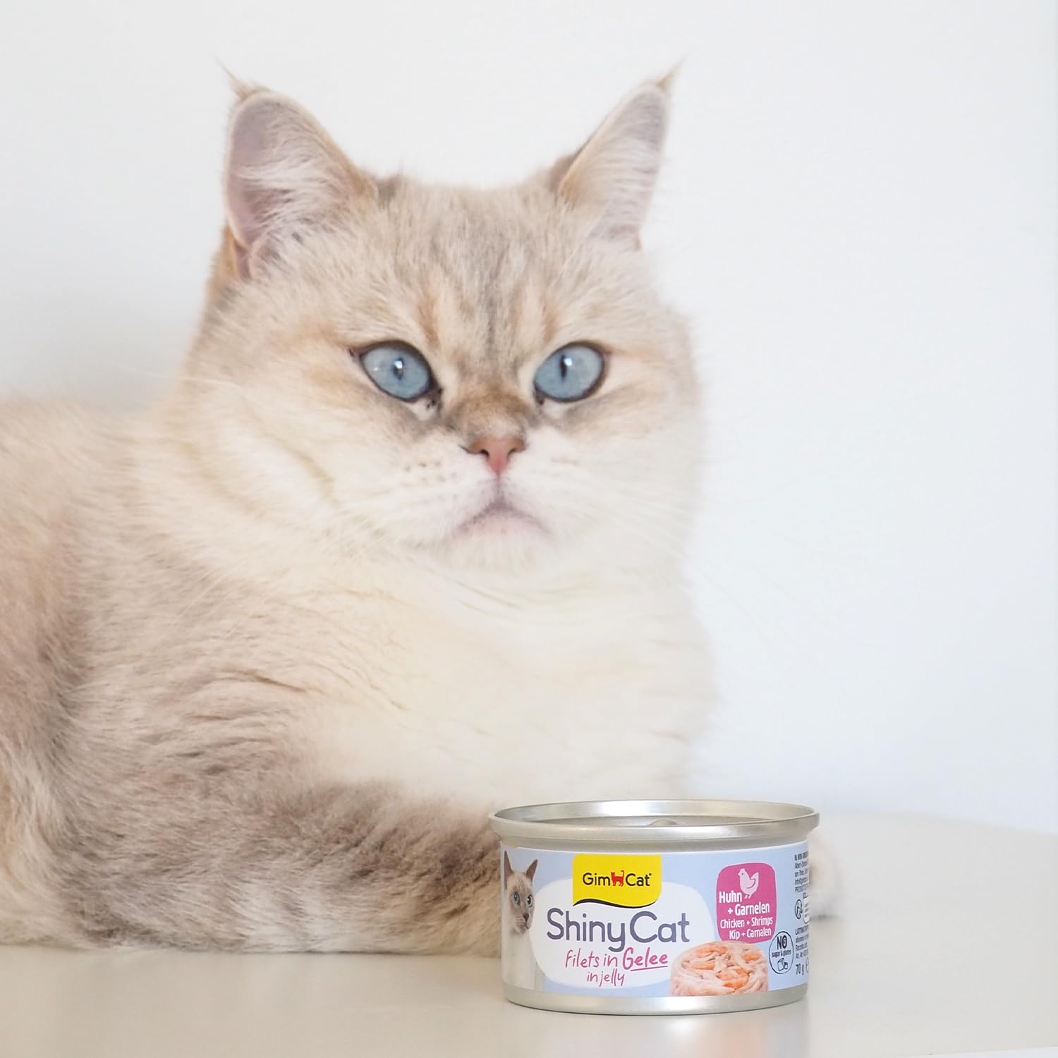 gimcat-shinycat-filet-poulet-aux-crevettes-nourriture-humide-48-x-70g image 4