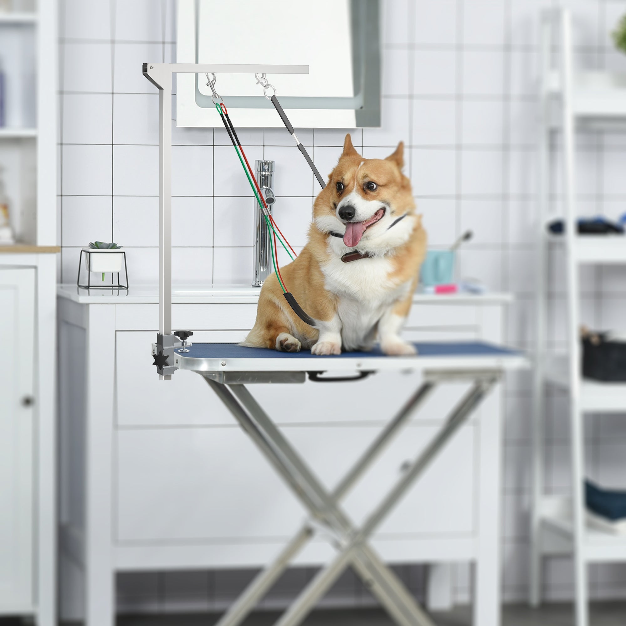pawhut-bras-de-toilettage-pliable-noir-76-cm-avec-pince-chiens-petits-et-moyens image 3