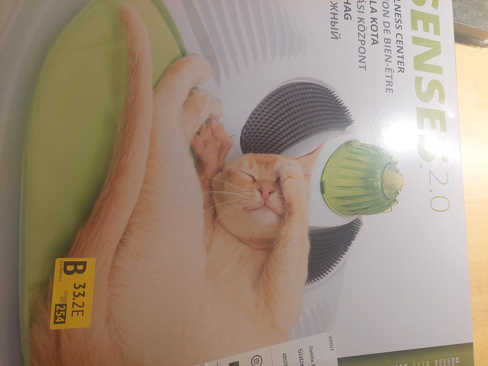 Parfait avec herbe à chat