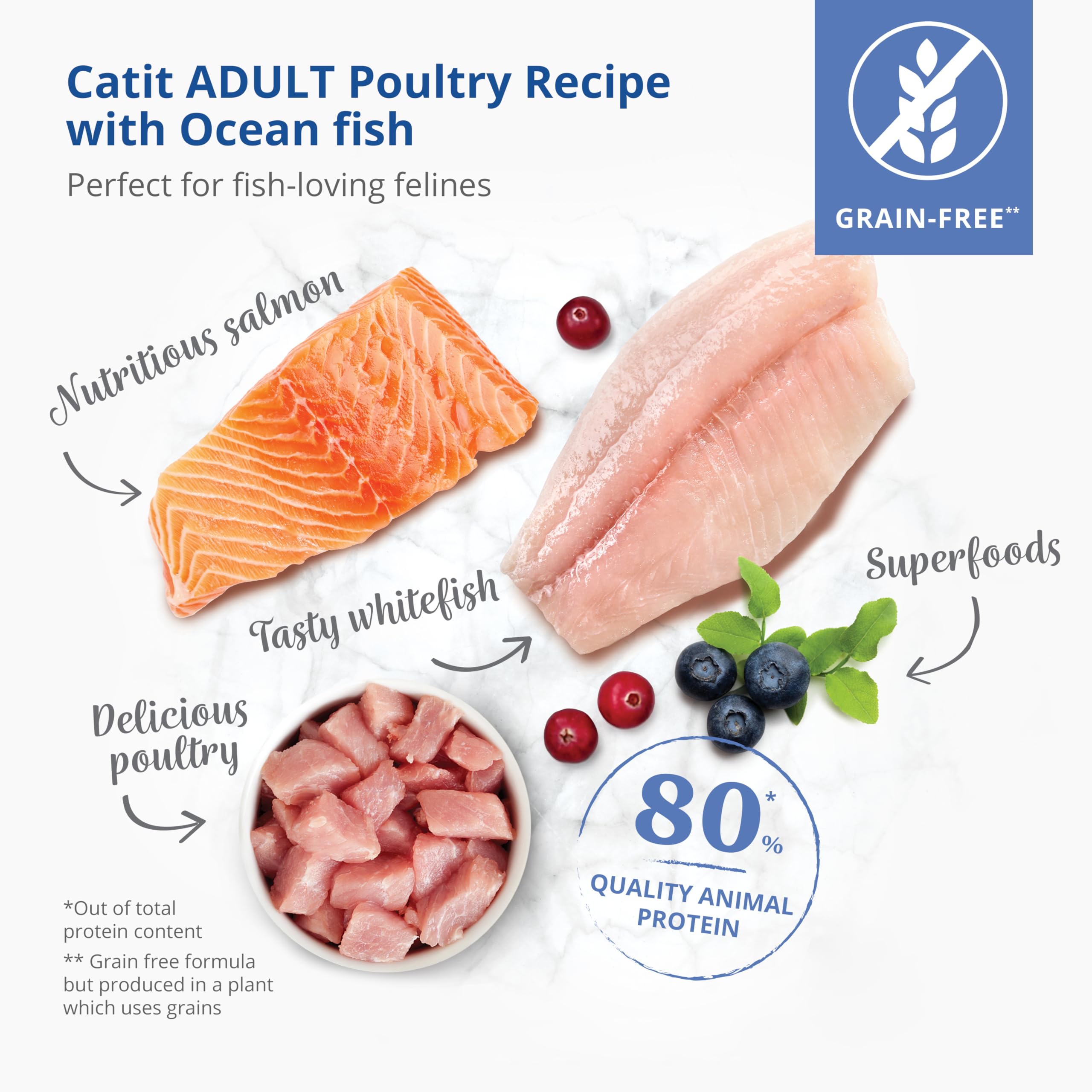 catit-recipes-adulte-poisson-de-mer-pour-chat-croquettes-2-kg image 3