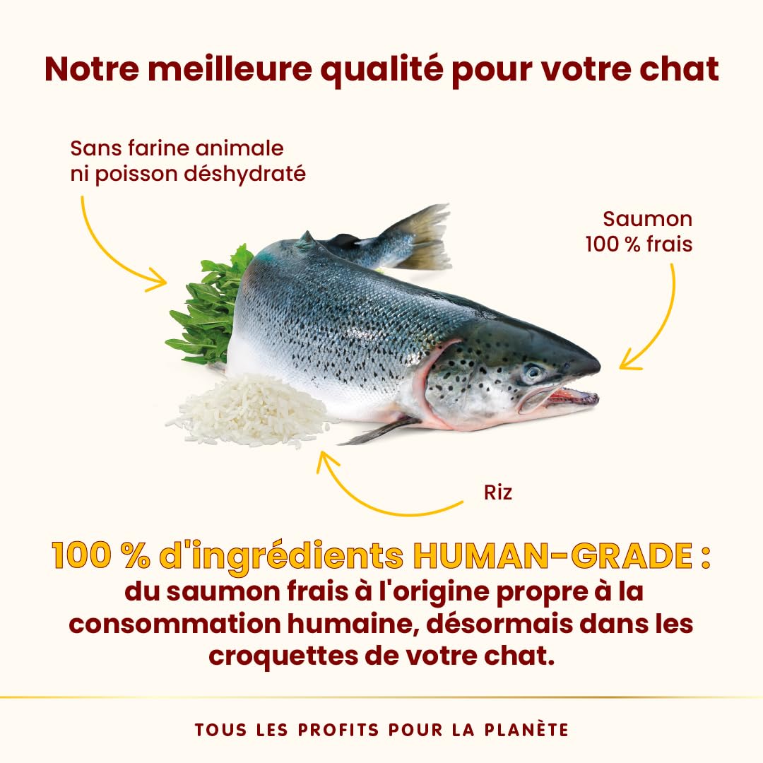 almo-nature-hfc-our-best-croquettes-chat-adulte-saumon-frais-300g image 3
