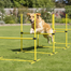 pawhut-kit-agility-4-haies-r-glables-en-hauteur-pour-chien-avec-sac-jaune image 3
