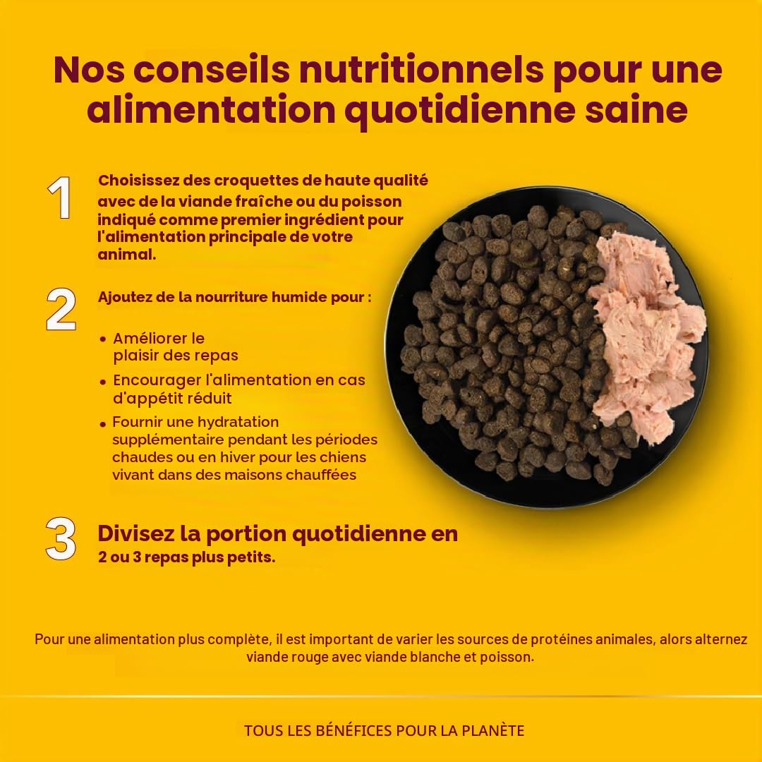 almo-nature-daily-dog-poulet-et-petits-pois-p-t-humide-pour-chien-adulte-9-x-300 image 3