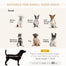 pawhut-canap-pour-petit-chien-avec-coffre-de-rangement-gris-clair image 5