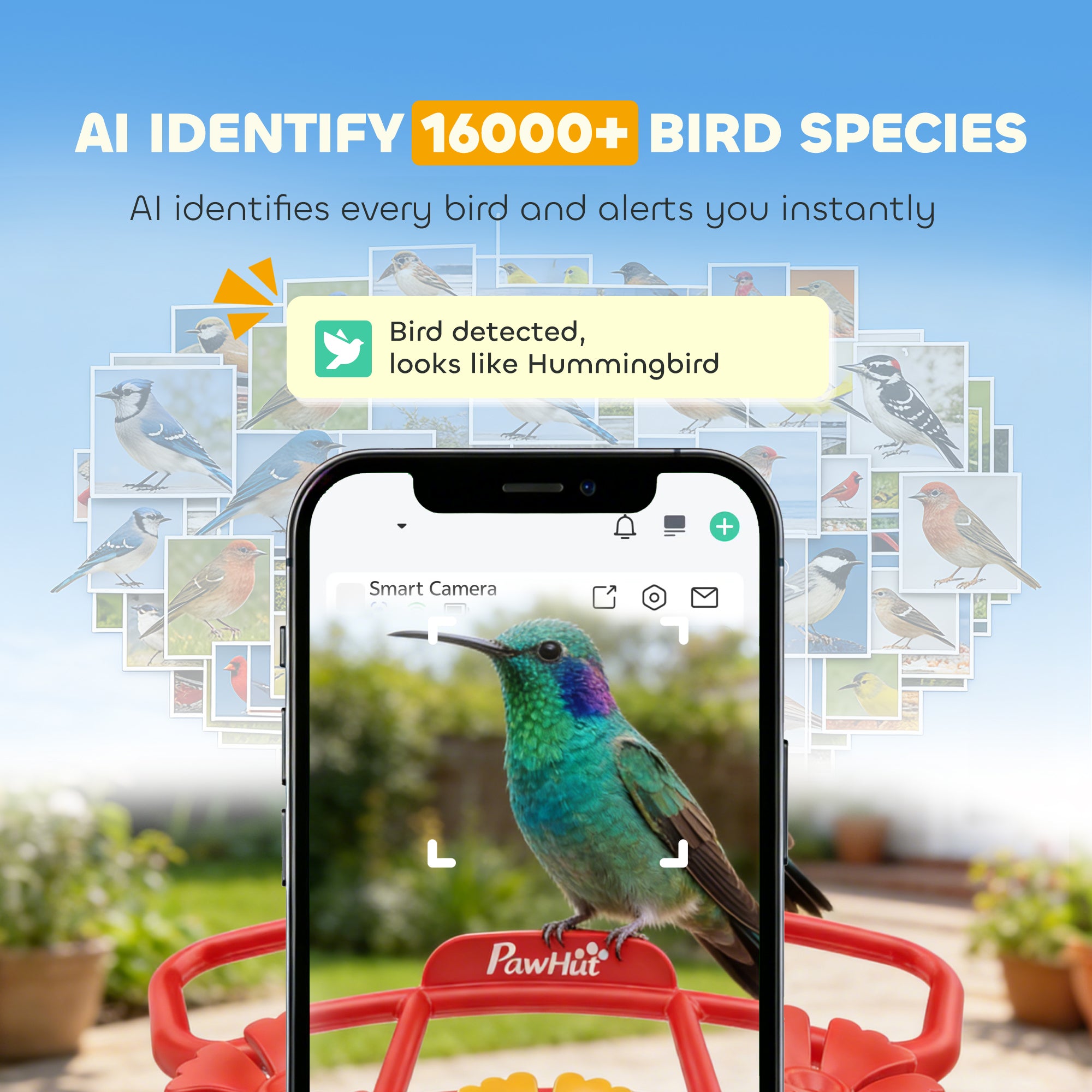 pawhut-mangeoire-oiseaux-avec-cam-ra-2k-ai-16000-esp-ces-solaire-3w-et-alertes-l image 6