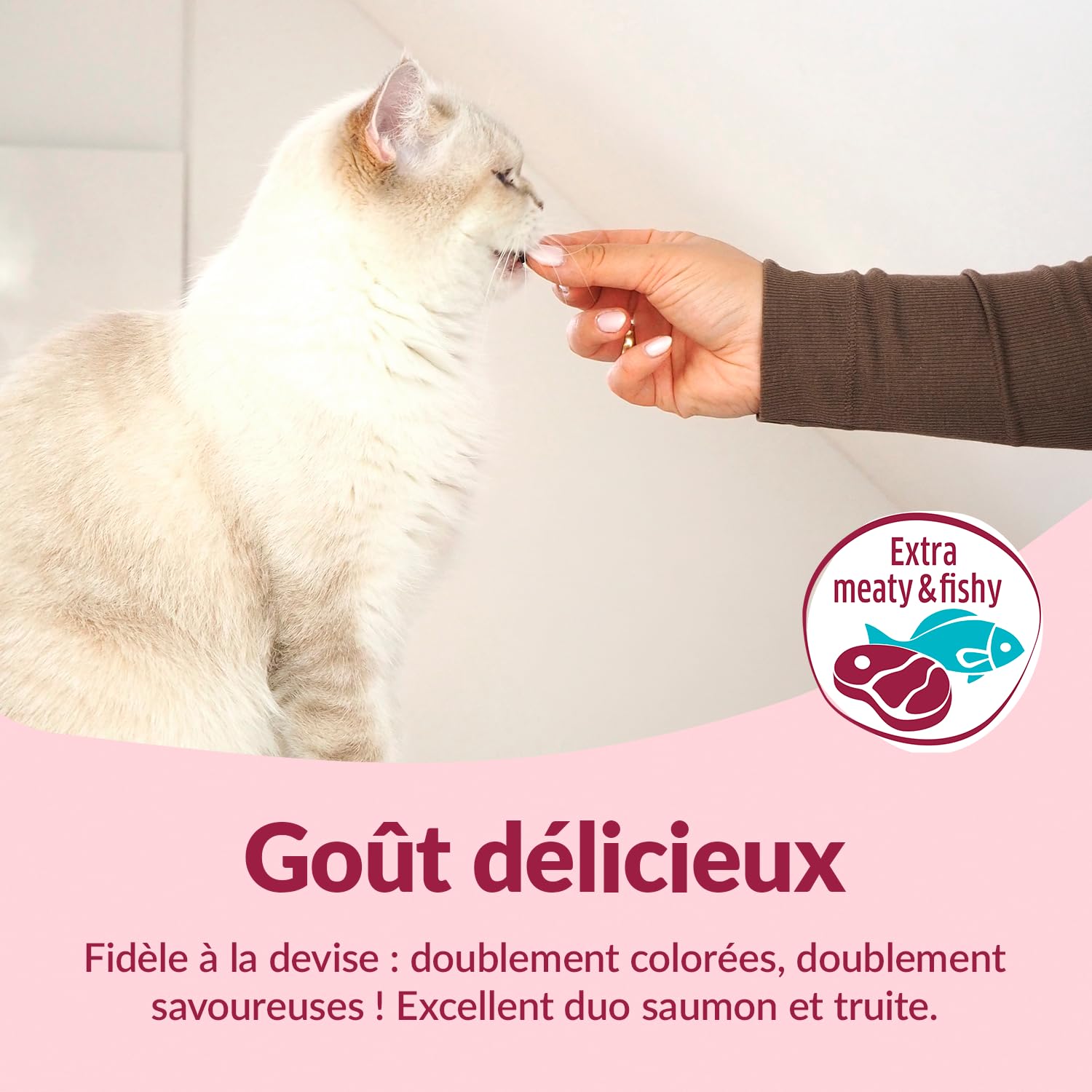 gimcat-duo-soft-snacks-saumon-et-truite-friandises-pour-chat-50-g image 3