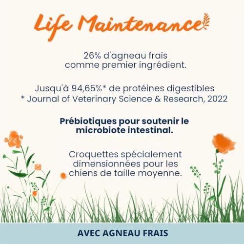 almo-nature-holistic-maintenance-m-agneau-frais-croquettes-chien-moyen-12-kg image 6