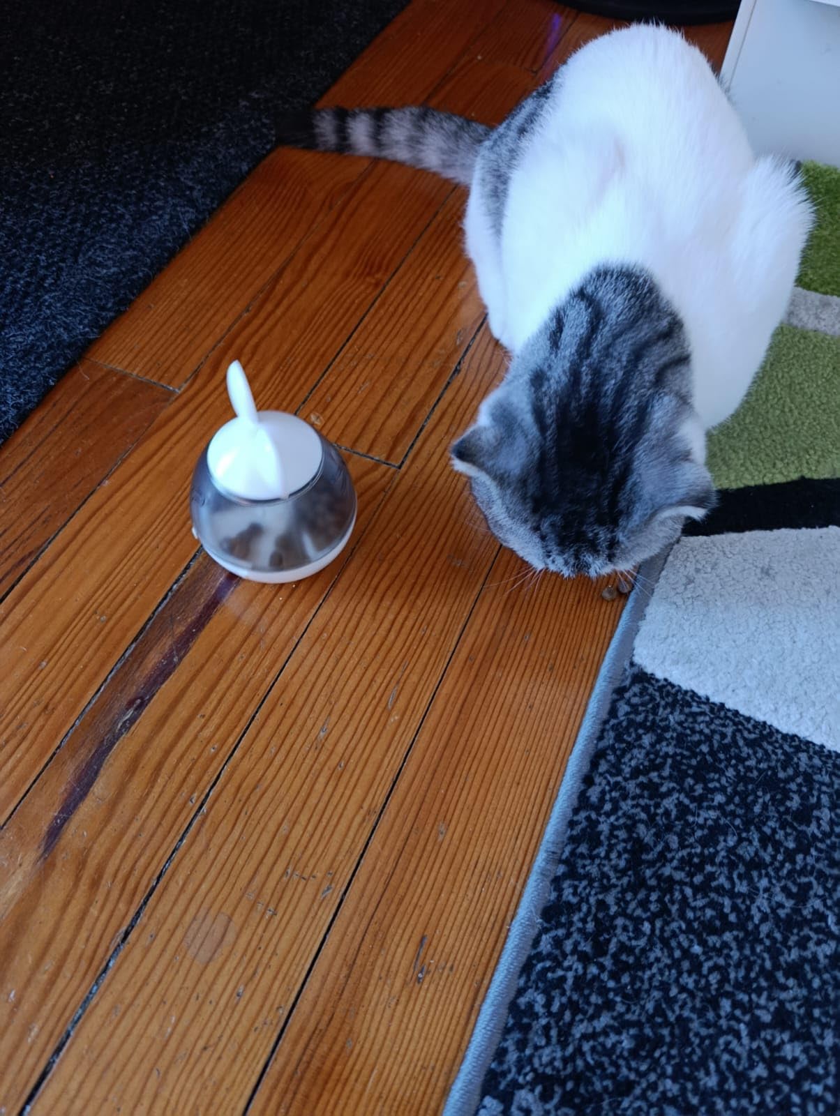 Mignon et malin