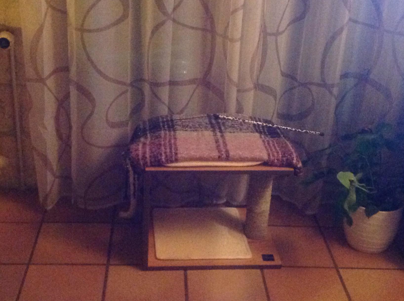 Parfait dans le salon