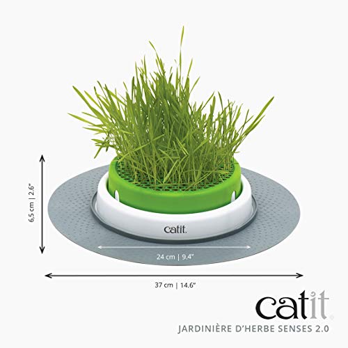 catit-senses-2-0-jardin-d-herbe-chat-avec-pot-profond-et-base-stable image 4