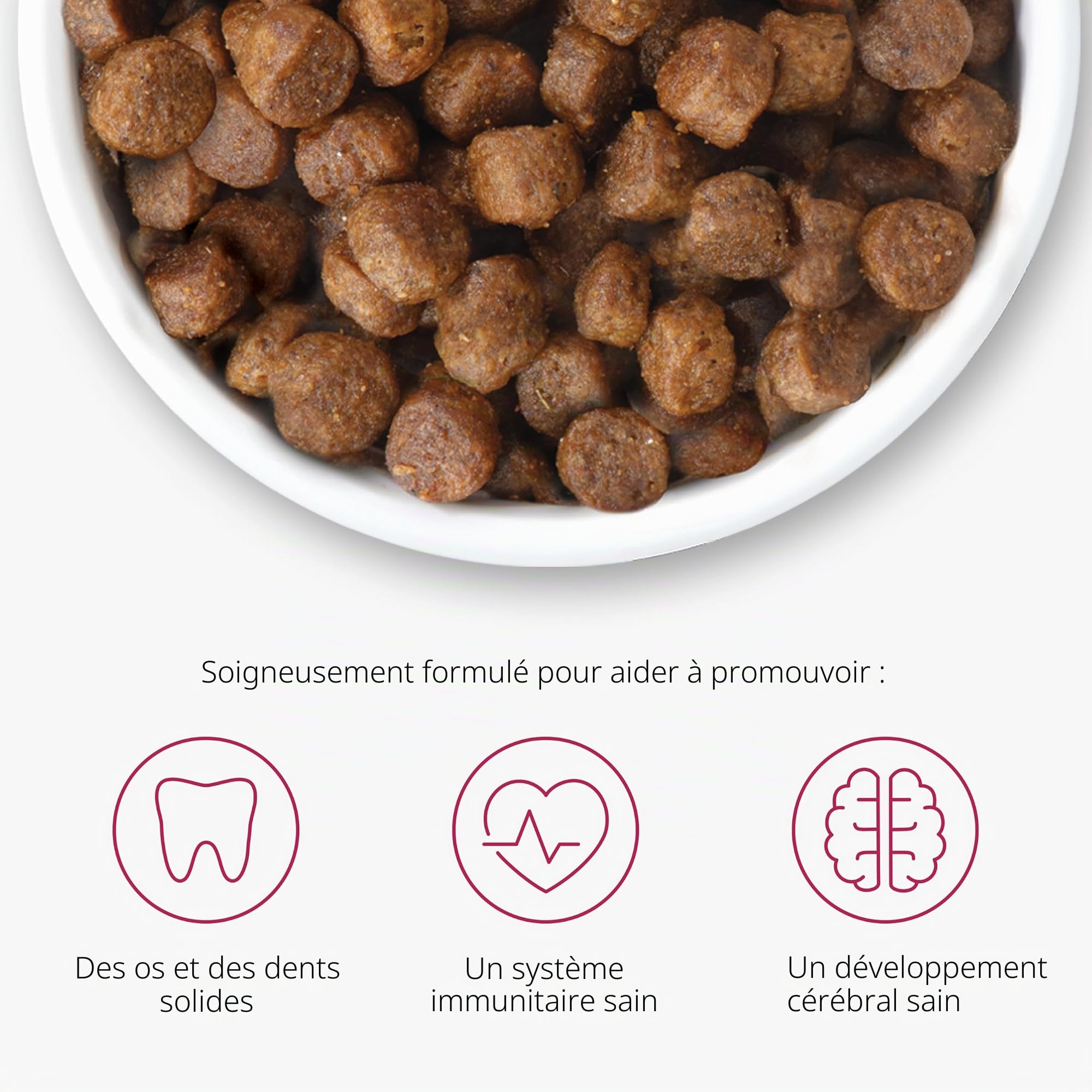 catit-recipes-kitten-croquettes-pour-chaton-400-g image 5