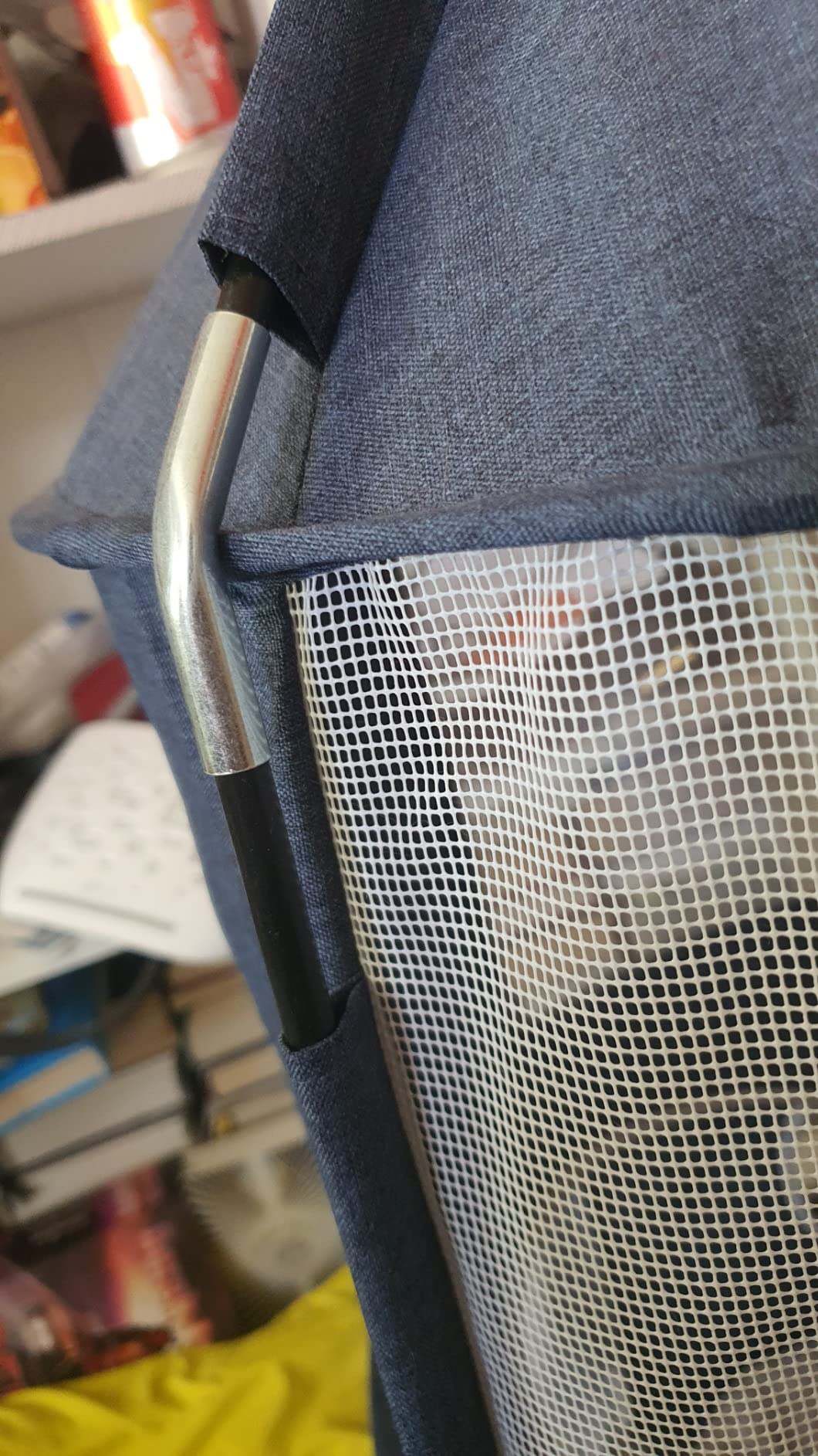 Joli meuble, chat conquis