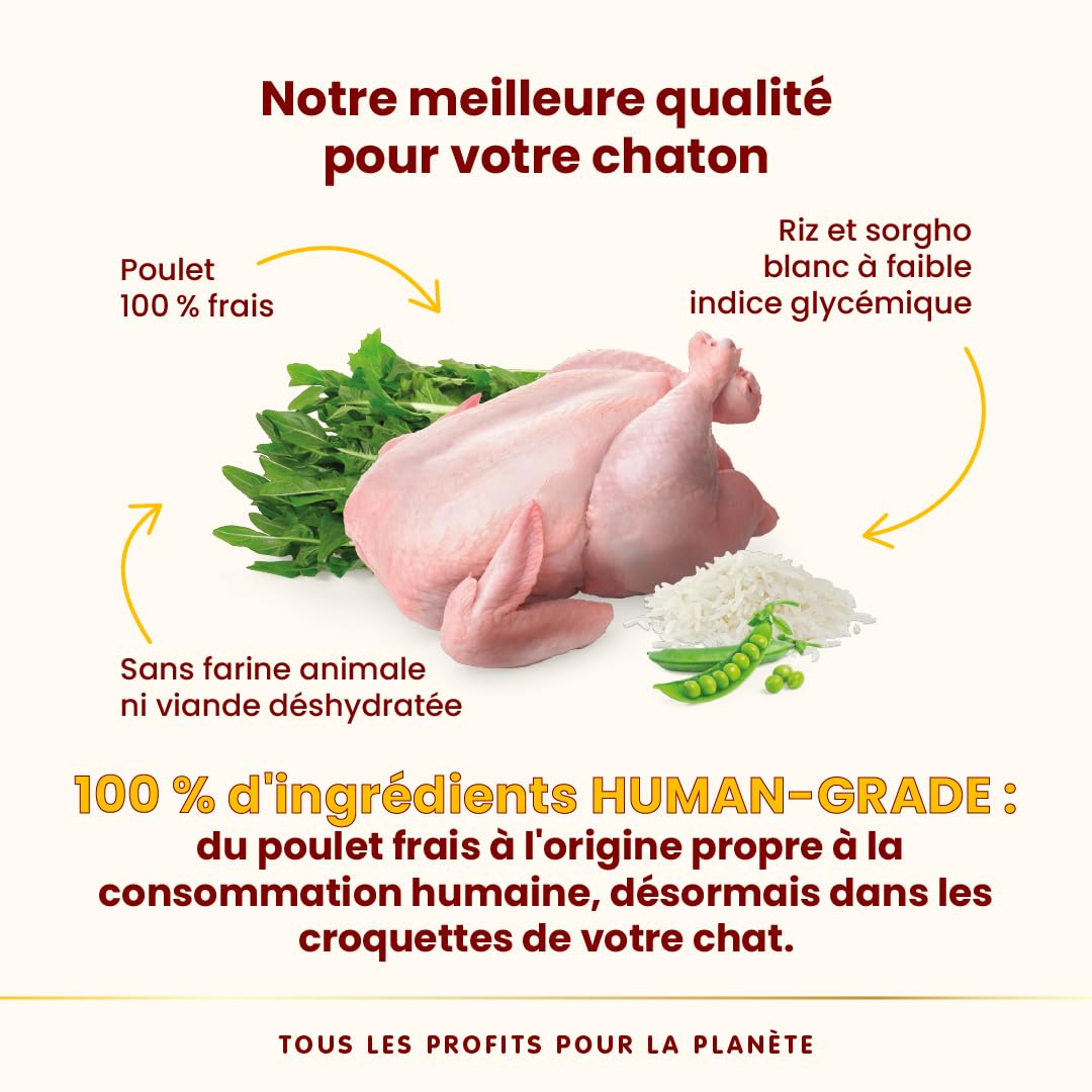 almo-nature-hfc-our-best-kitten-croquettes-chaton-poulet-frais-sans-gluten-1-2-k image 3