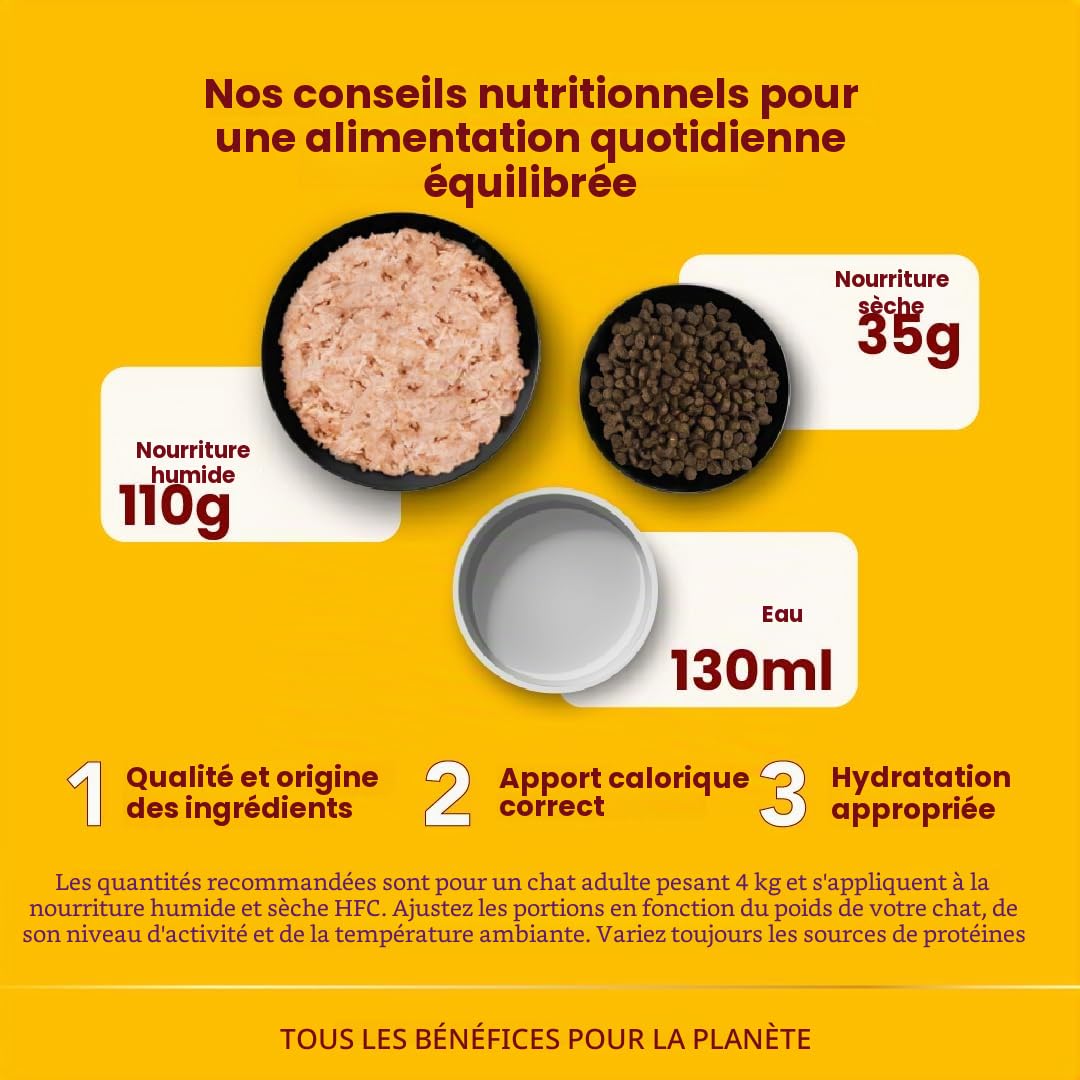 almo-nature-hfc-jelly-saumon-nourriture-humide-chat-24-x-55-g image 3
