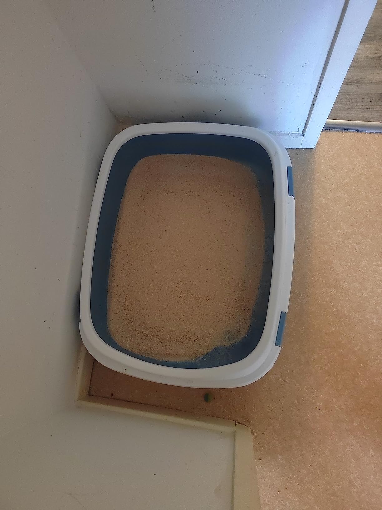 Absorbe vite, sent bon le bois