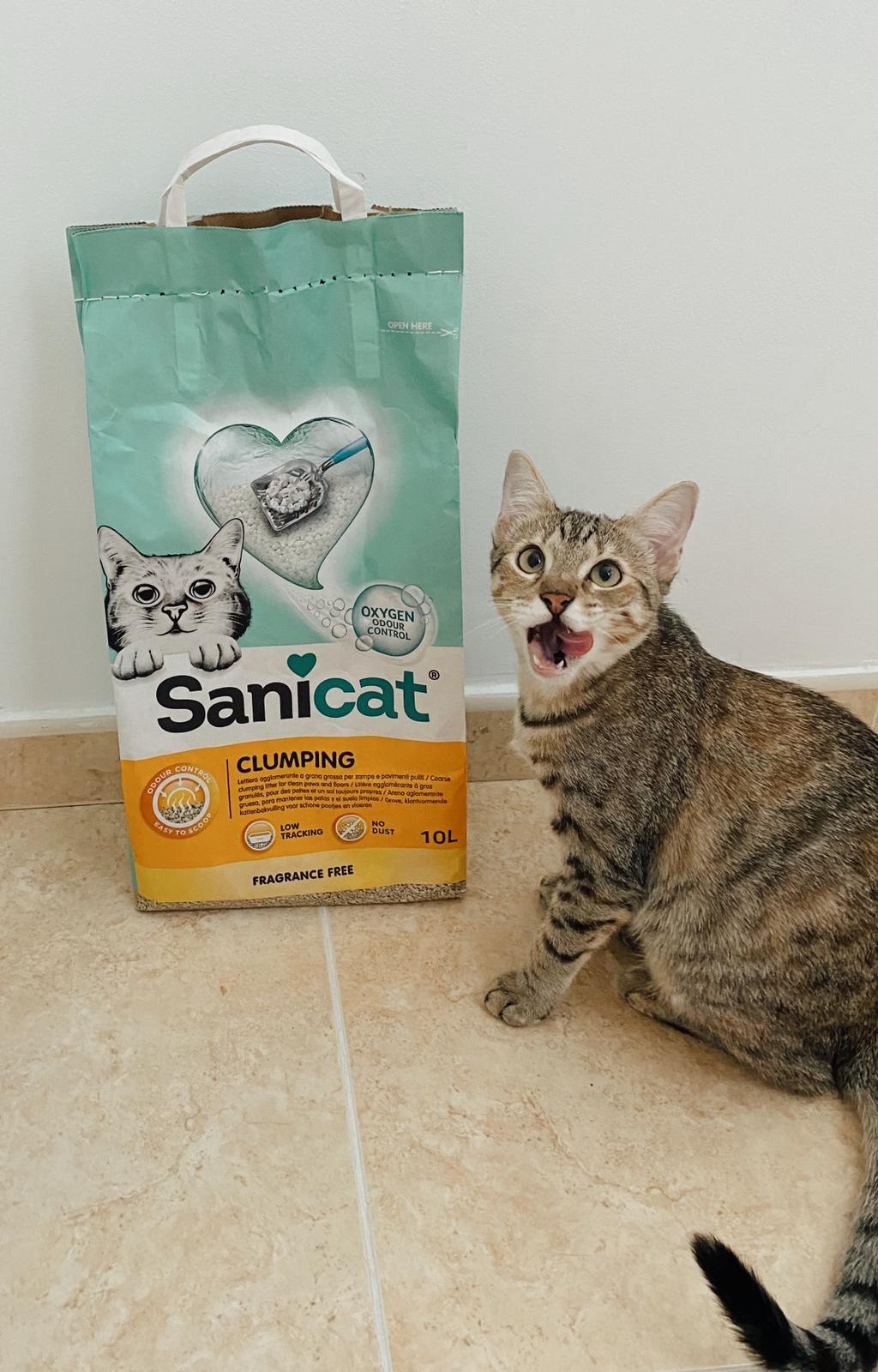 Pas adaptée à mon chat poils longs