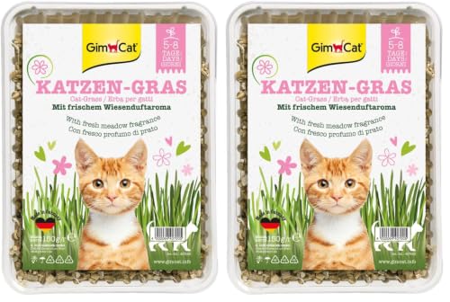 gimcat-herbe-chat-bol-de-graines-croissance-rapide-en-5-8-jours-150-g image 4