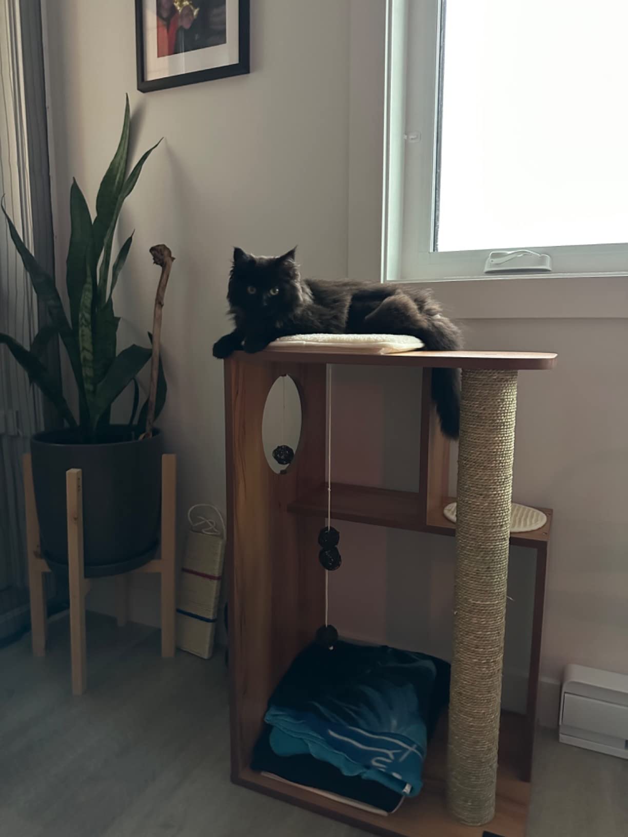 Le QG de mes deux minettes