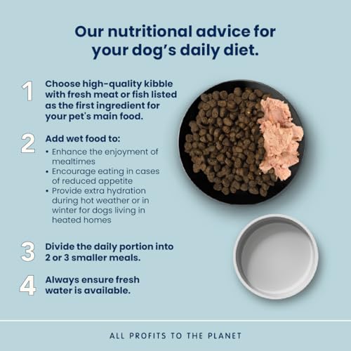 almo-nature-holistic-maintenance-m-au-boeuf-frais-croquettes-chien-moyen-12-kg image 7