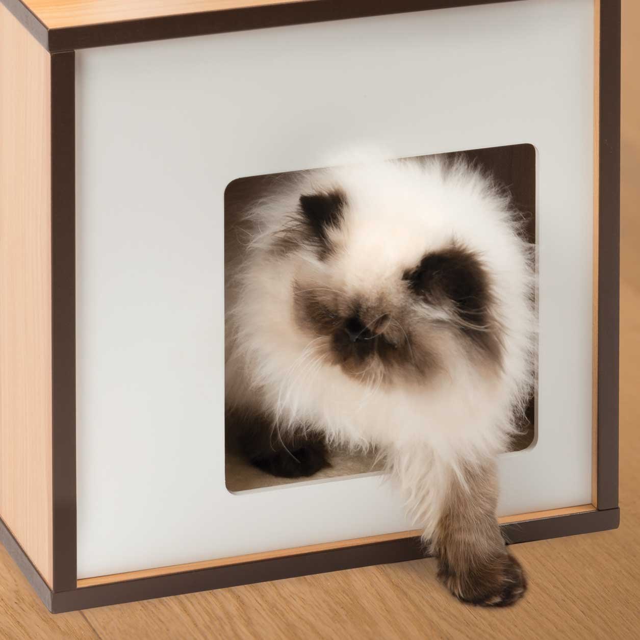 catit-vesper-v-box-arbre-chat-bo-te-naturel-taille-s image 3
