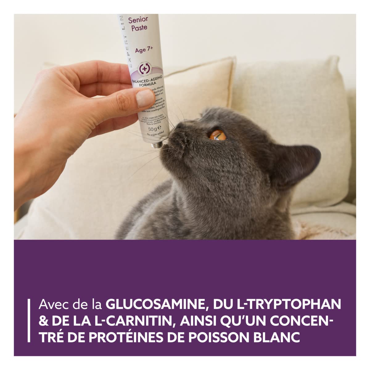 gimcat-expert-line-p-te-senior-50-g-d-s-7-ans image 4
