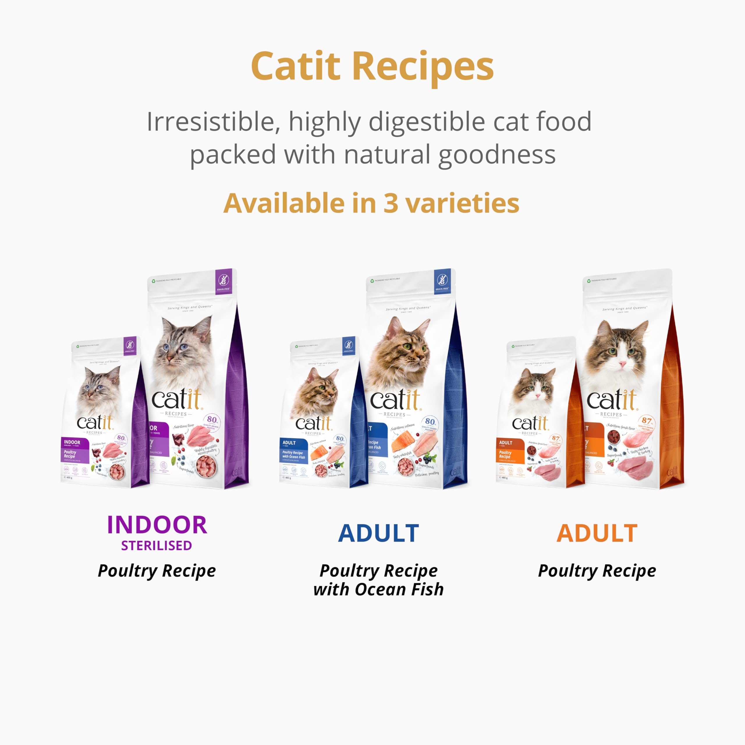 catit-recipes-adulte-poisson-de-mer-pour-chat-croquettes-2-kg image 8