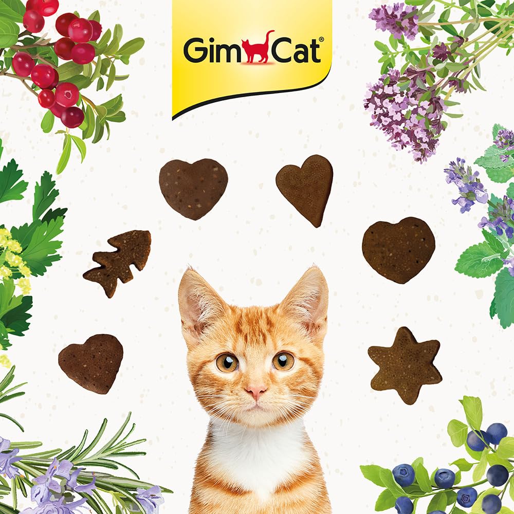 gimcat-soft-snacks-canard-aux-myrtilles-friandise-tendre-pour-chat-60-g image 7