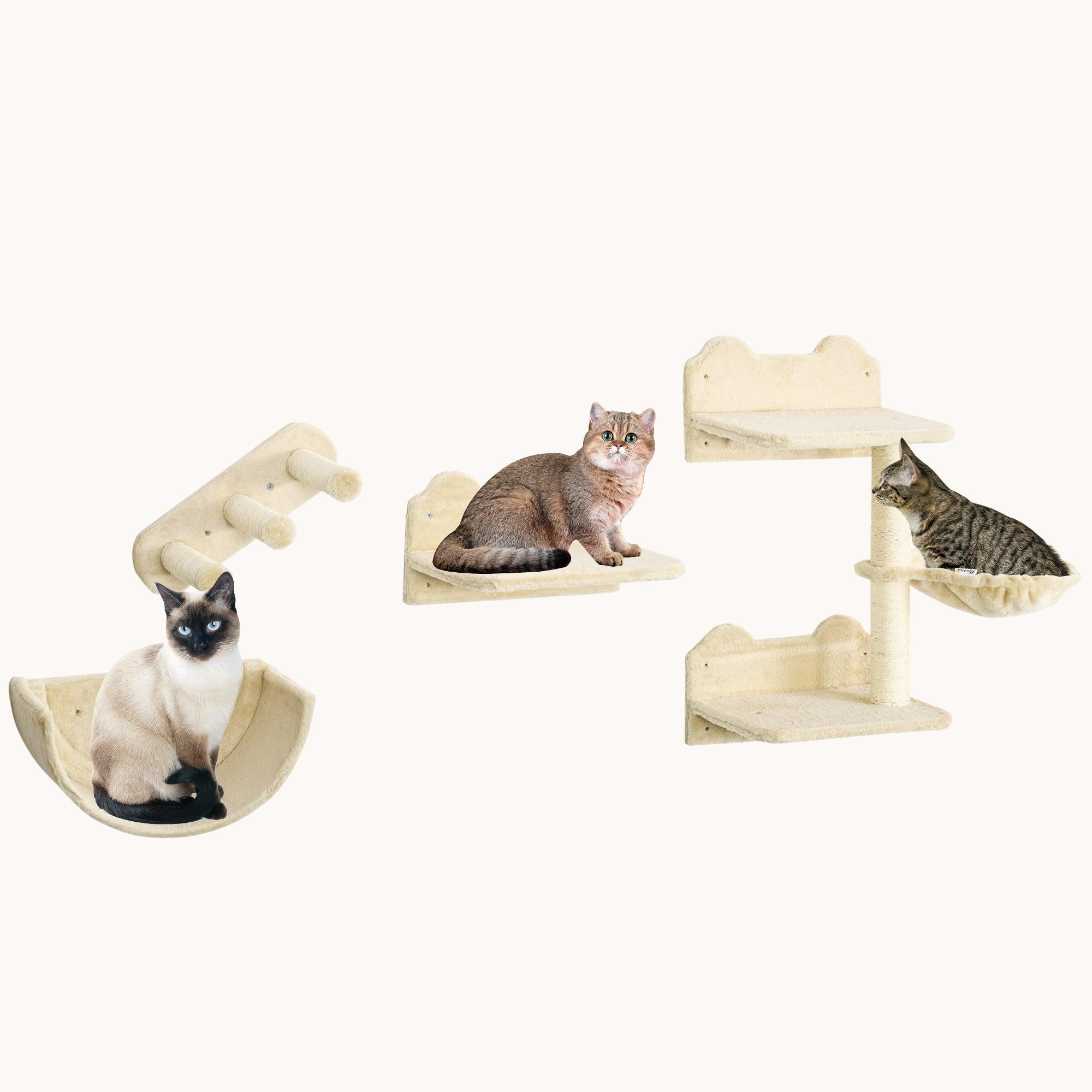 pawhut-arbre-chat-mural-4-pi-ces-avec-hamac-plateformes-et-griffoir-beige image 1