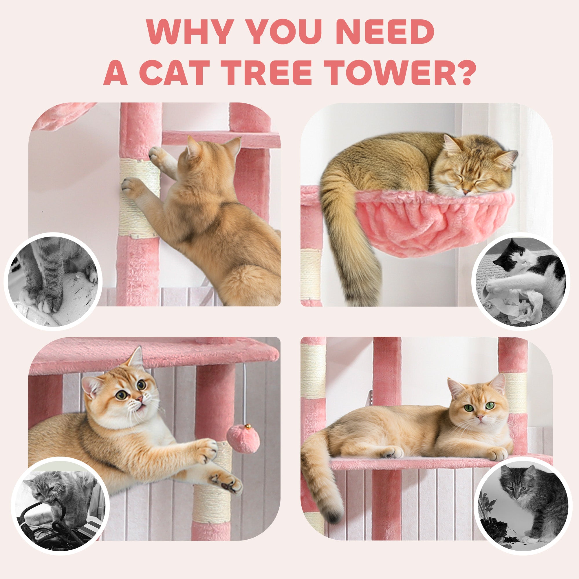 pawhut-arbre-chat-sol-plafond-7-niveaux-avec-2-niches-et-hamacs-rose image 6