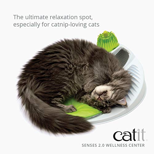 catit-senses-station-de-massage-pour-chat-verte image 8