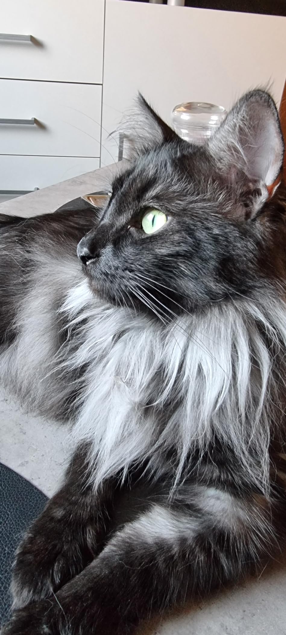 Ma minette valide