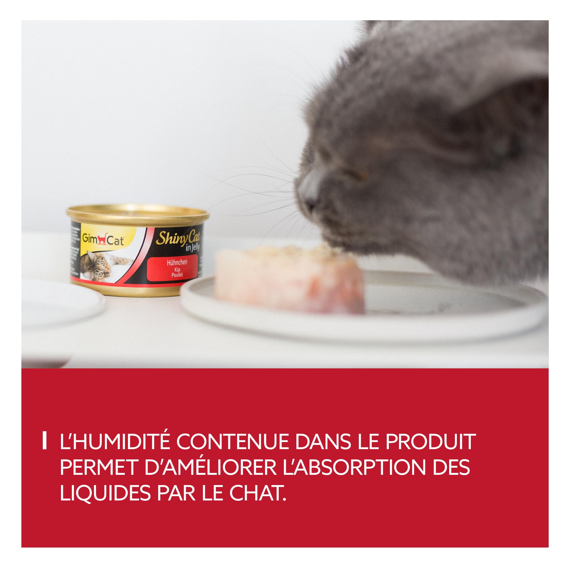 gimcat-shinycat-in-jelly-poulet-nourriture-humide-chat-48-x-70-g image 4