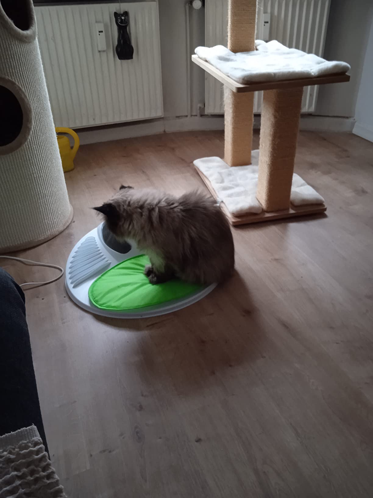 Trop légère pour gros chat