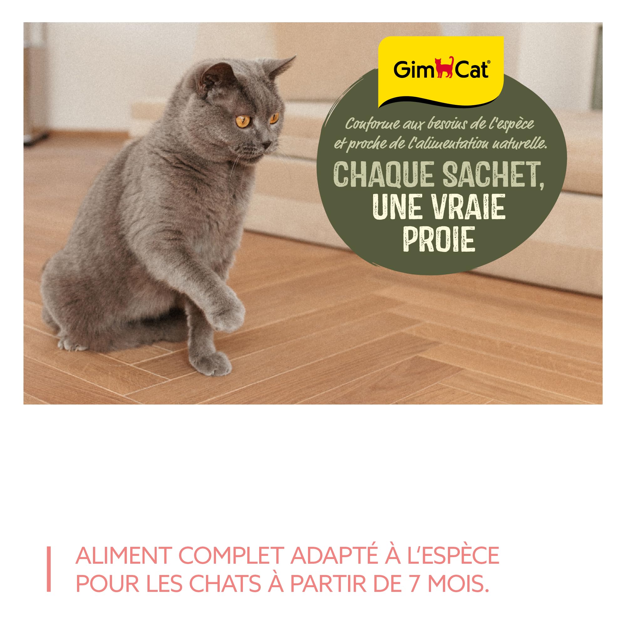 gimcat-near-nature-b-uf-nourriture-humide-sans-c-r-ales-pour-chat-d-s-7-mois-16- image 6