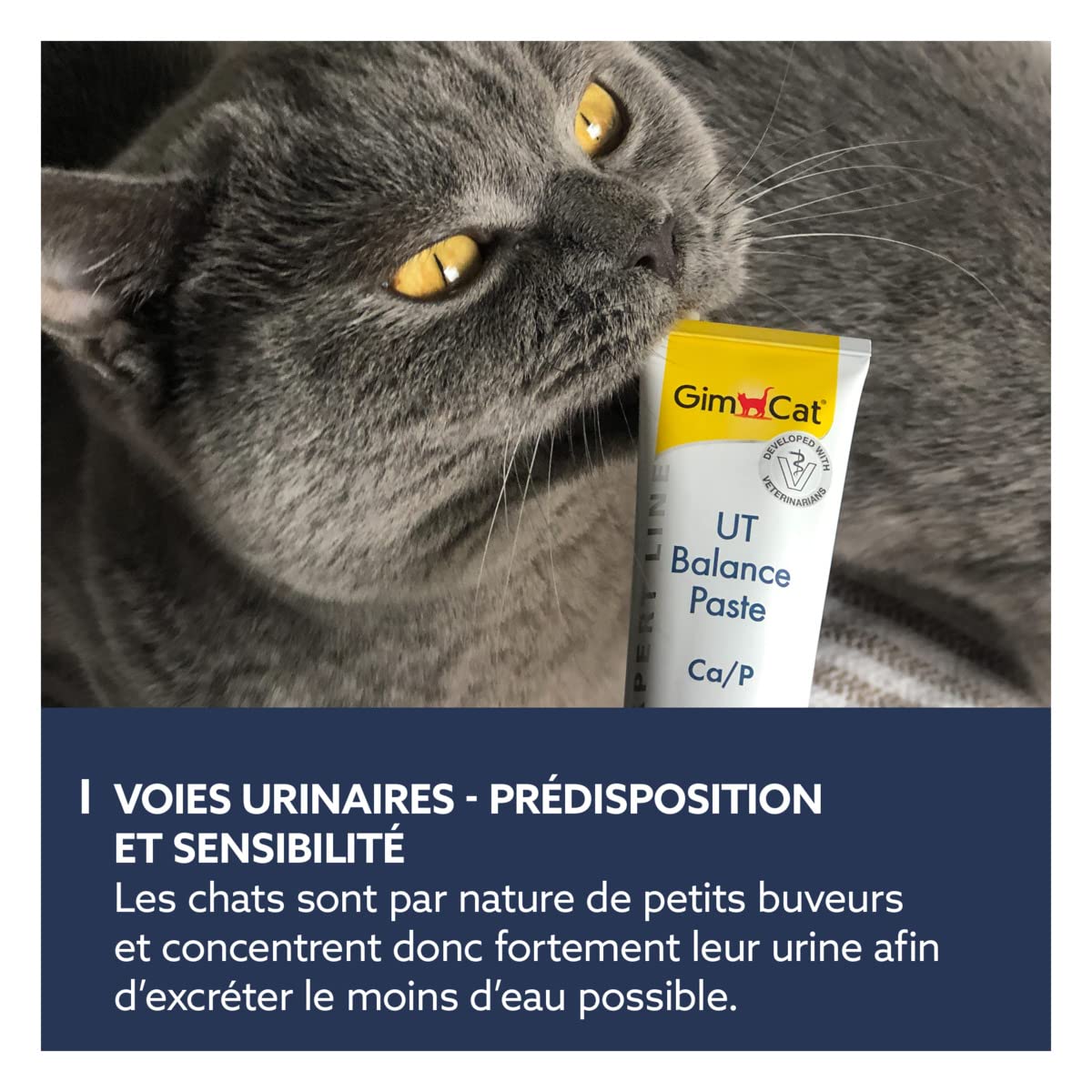 gimcat-expert-line-ut-balance-p-te-urinaire-chat-50-g image 4
